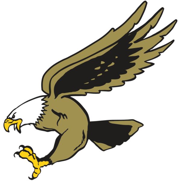 AR EAGLE 23 RC Thumbnail