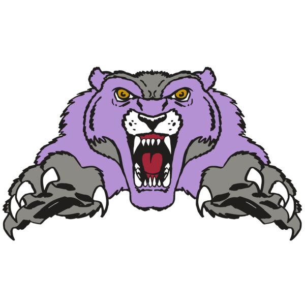 AR WOLVERINE 17 RC Thumbnail